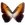 Morpho-Hecuba-sunset-icon.png