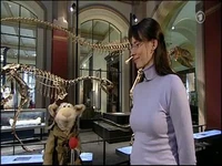 Folge2510-9