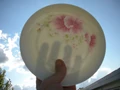 Transparent porcelain.jpg