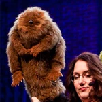 Puppets (54)