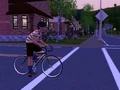 Mortimer Bike