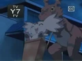 Tamers Ep05-3