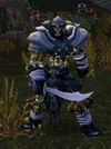 Ravenclaw Raider