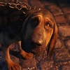 The_Bloodhound