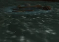 Schooner Wreckage.jpg