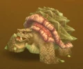 Mudrock Borer.jpg
