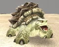 Sparkleshell Borer.jpg