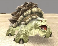 Sparkleshell Borer
