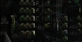 Unimatrix cells.jpg