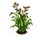 Flax Leaves-icon