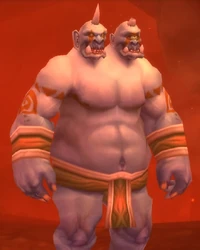 Image of Deadwind Warlock