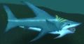 Great Shark.jpg