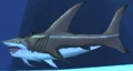 Basking Shark.jpg
