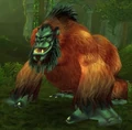 Groddoc Thunderer.jpg