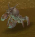 Muckshell Snapclaw.jpg