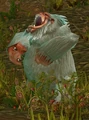 Mistvale Gorilla.jpg