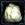 Dolomite Ore