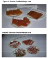 Fortified Mango bars.jpg