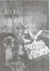 Pauline Musters Coffin.jpeg (9 KB) Pauline Musters Coffin