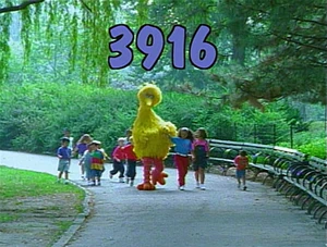 3916