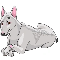 Bullterrier default.png