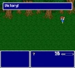 FF5Victory