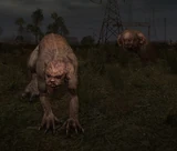 ChimeraAndPseudogiantCOP01
