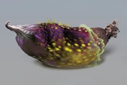 Banana fruit