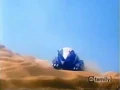 Triceratops In Desert