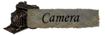 Camera button