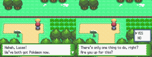 Platinum - Route 201 6