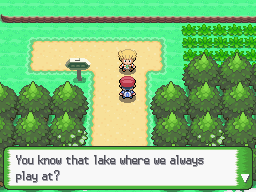 Platinum - Route 201 8
