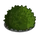 Dome Topiary II-icon
