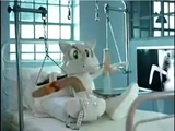 Ty-the-tiger