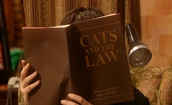 CatsATL