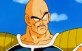 NappaEarthSS01