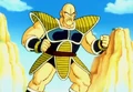 NappaEarthSS03