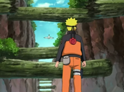 Narutokakashivsdeidara2