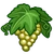 Chardonnay-icon