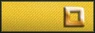 Sleeve insignia.