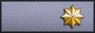 Sleeve insignia.