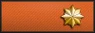 Sleeve insignia.