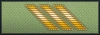 shoulder insignia.