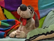Jack the Dog