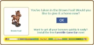 Brown foal give home