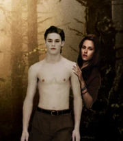 Martin New Moon