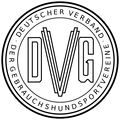DVG Logo.svg