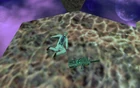 Displacer first 3