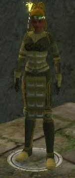 Thicket (Armor Set) (Visible, Female).jpg