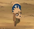 Biscuit.png